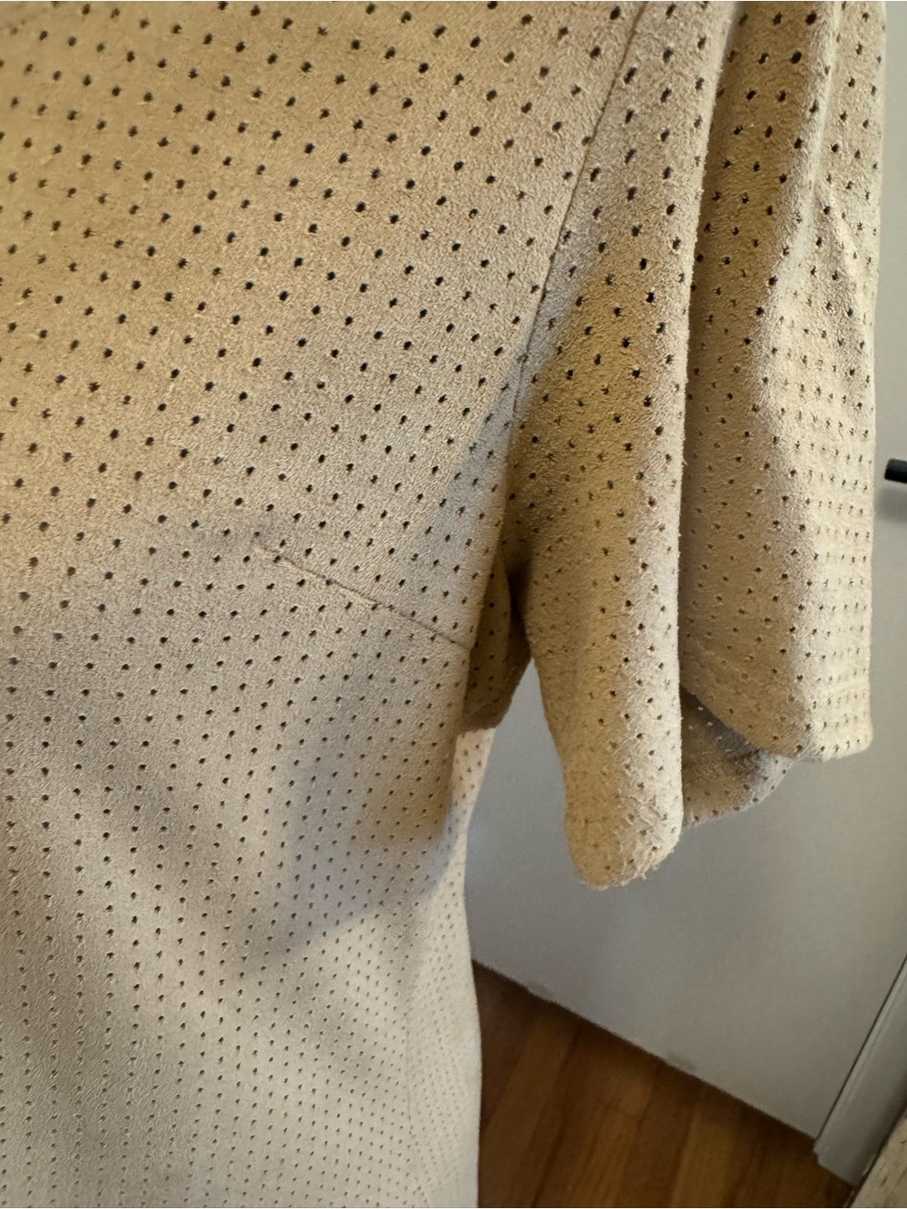 Ethereal Short-Sleeve Sueded Dress in Tan - Picture 4 of 6